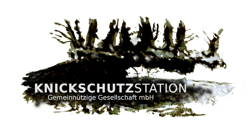 Knickschutzstation gGmbH